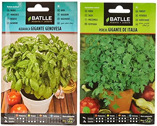 Semillas Batlle - Albahaca GIGANTE Genovesa, Color Verde & Perejil GIGANTE DE ITALIA