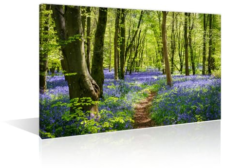 Beautiful Tree Pictures Large Wall Art Sun Streams Through Bluebell Woods Wall Prints Posters & Prints 1 Panels Nature Green Landscape Paintings Giclee Print Gallery Packaging Artwork (24Wx36H)