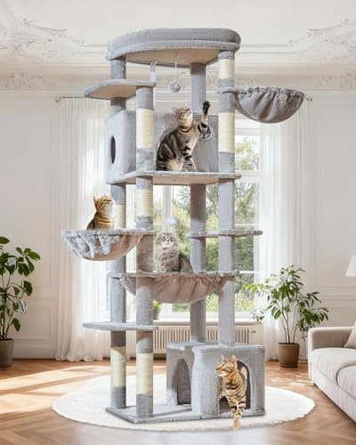 Taoqimiao Árboles Rascadores para Gatos XL 183 cm, Plataforma Extra Grande