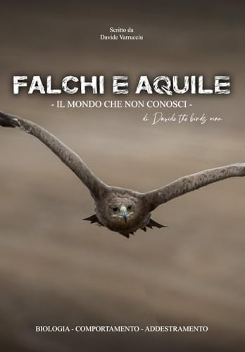 Falchi e Aquile: Il mondo che non conosci