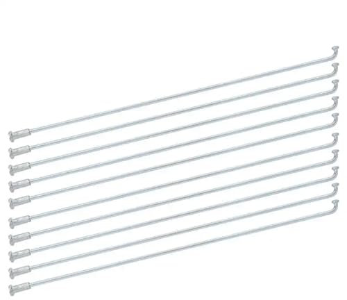 XJSJZJZ 10 Stück 13 g Fahrradspeichen aus Edelstahl für Fahrradspeichen 80 mm/190 mm/220 mm/310 mm Dreirad-Speichen, Fahrradzubehör (Farbe: 220 mm)