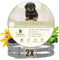 Animalea® Zeckenhalsband [2 Stück] für kleine Hunde - verbesserte Formel - Länge 38cm - 100% naürliche Inhaltsstoffe - bis zu 8 Monate wirksamer Schutz gegen Zecken Flöhe Mücken Läuse Ungeziefer