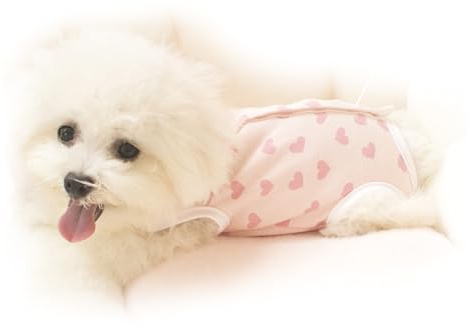 Teacup Dog Clothes, Small Dog Spring Outfits, Fully Belly Protection for Cold Prevention, Soft Polyester Home Underwear for Teacup Puppies in Spring and Autumn (Little Red Heart M)