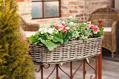 Dekoleidenschaft Rattan Pflanzkasten Koboo Grey groß, grau, Balkonkasten mit Halterung, Balkon-Blumenkasten für Draußen, Pflanzgefäß zum Einhängen am Balkongeländer, Flechtkorb