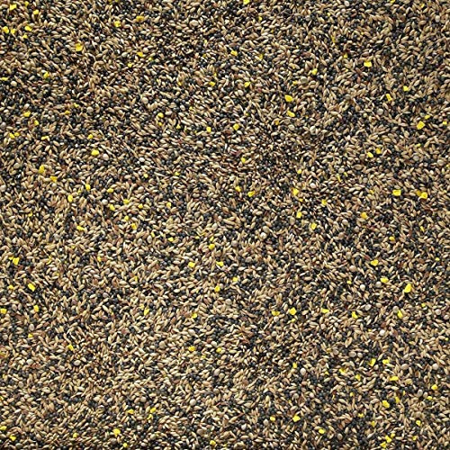 Johnston & Jeff 2kg Mixed Canary bird seed food sold by Trusty Pet Supplies