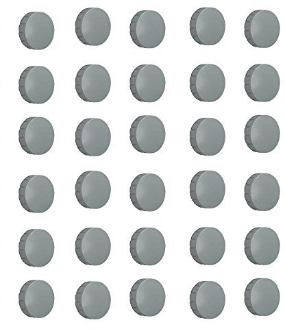 30x Magnete, Grau Ø 24mm, Haftmagnete für Whiteboard, Kühlschrankmagnet, Magnettafel, Magnetwand, Magnet Rund