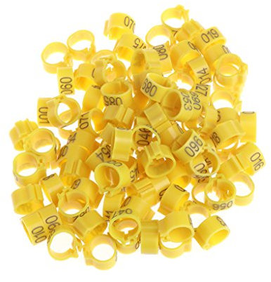 Yanhonin 100 Stück 10 mm Identifizierungsring, Taubenring, Training, Vögel, mit Beinnummer gelb