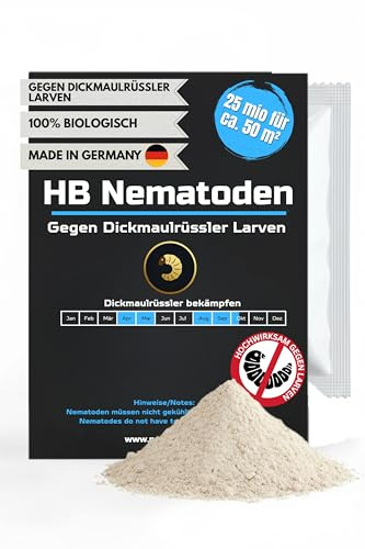 Nematoden gegen Dickmaulrüssler Larven biologische Schädlingsbekämpfung bei Larven und Engerlingen schädlicher Käfer (25 mio für 50m²)