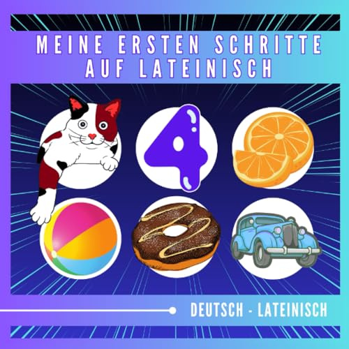 Meine ersten Schritte auf lateinisch: Ein Anfängerleitfaden zum Sprechen und Verstehen von lateinisch: Grundwortschatz, Buch für Kinder und Anfänger Erwachsene