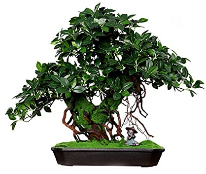 Simulazione di Albero Artificiale, Albero di baniano, Bonsai, Soggiorno, pianta Verde Finta, pianta in Vaso, Piccolo Monaco in Ceramica, Decorazione per Intern