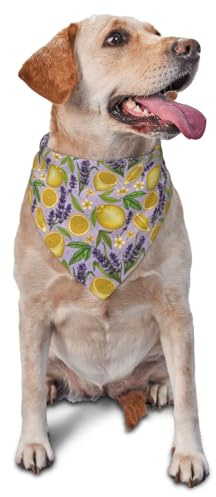Hundhalsduk, lavendelblommor, citronskivor, triangulära haklappar, hundnäsduk, söta hundtillbehör, hundhalsdukar