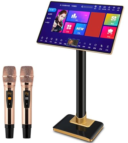 DDZJTPP Máquina De Karaoke para Adultos,Máquina De Karaoke Todo En Uno con Pantalla De Letras Y 2 Micrófonos Inalámbricos,Pantalla Táctil Capacitiva De Alta Definición 4k,20 Idiomas,21.5inch-3TB