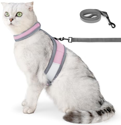 Kattsele och koppel, rymningssäker reflekterande kattungesele, justerbar sele och koppel för stora och små katter för promenader, jogging och träningsaktiviteter
