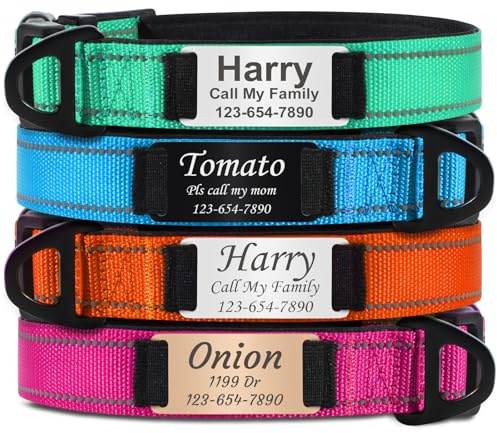 TagME Hundehalsband Personalisiert mit Namensschild für Mittelgroße Hunde, Reflektierendes Gepolstertes Nylon-Halsband mit ID-Anhänger, Verstellbar 35-50cm