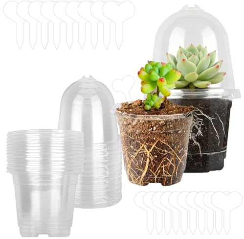 Macetas Transparentes, 20 Piezas Maceta Redonda Pequeñas con Tapa Transparente, Macetas de Plástico con Orificio Reutilizable, Macetas de Plástico Transparente con Cúpula de Humedad