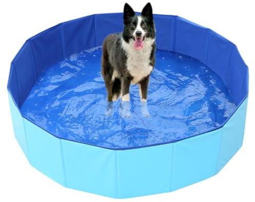 QraraZL Hundepool Faltbar, Tragbar PVC Hundebadewanne Hundeschwimmbad für Große Kleine Hunde, Anti-Rutsch-Belag, mit Ablaufloch, 3 Größen Verfügbar Für Kleine, 160 x 30cm
