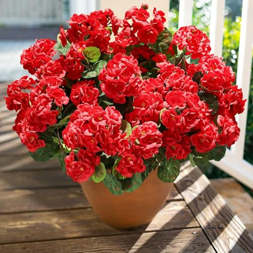 Sousi 6er Pack Künstliche Geranien – UV-beständig & wetterfest für Draußen & Innen – Kunstblumen für Balkon, Garten, Veranda – Rot (6 Stück)