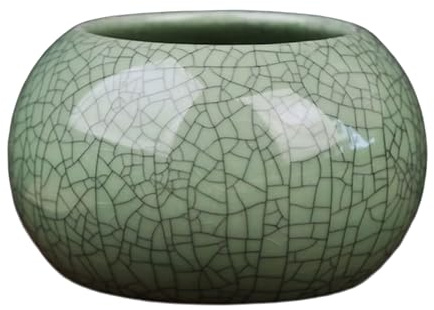Wsdsgz Elegante vaso decorativo in ceramica screpolata con capacità di 300 ml, per coltura idroponica e semplice sistemazione domestica, piccolo vaso da giardino
