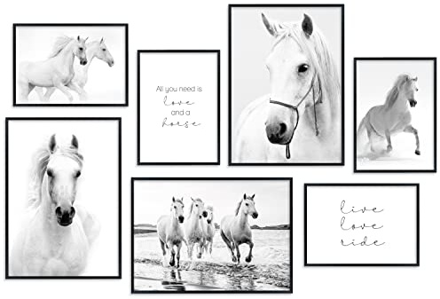 Hyggelig Home Premium Poster Set - 7 Pferdeposter Bilder für Mädchen - Kinderzimmer Reiten Pony - Set Pferde