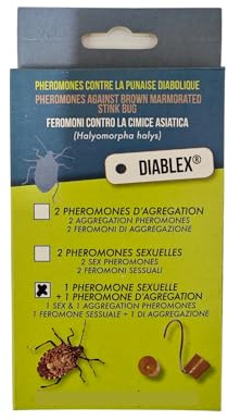 Kit ricarica trappola cimice asiatica Diablex - 1 feromone attrattivo e 1 sessuale (75 mg)