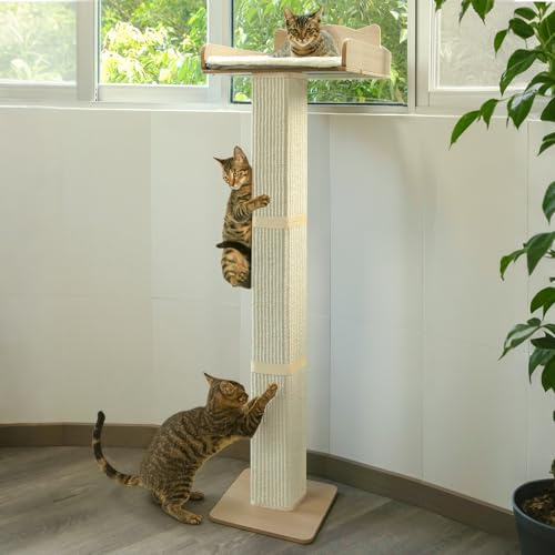 Bâton de fenêtre pour chat avec griffoir, hamac pour fenêtre pour chat avec 2 ventouses, arbre à chat haut en sisal avec grand perche, lit de fenêtre pour chat avec coussin en duvet, sisal