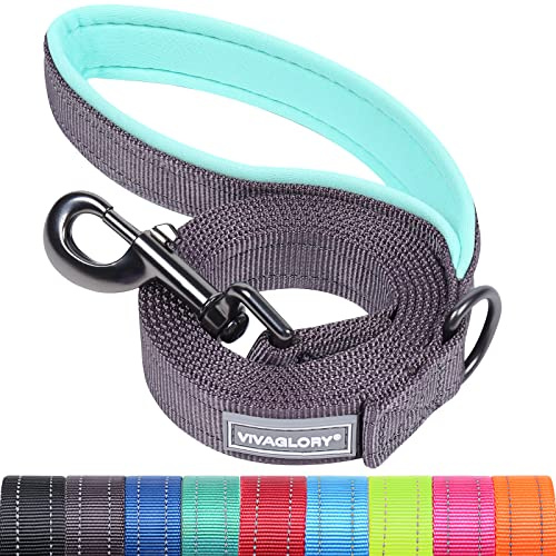 VIVAGLORY Hundeleine Dailyx Führleine Hundeleine, 90 x 2.5cm, Grau | Leine Welpenleine mit Schlaufe & Gepolstertem Griff für Hausleine Joggingleine, Reflektierend & Gepolstert Neopren für Hunde