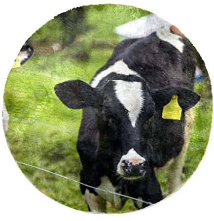 Alfombra de piel sintética redonda y suave personalizada, alfombra lanuda de becerro, vacas lecheras, pasto verde para dormitorio, sala de estar