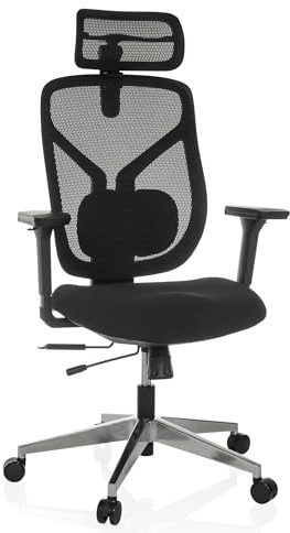hjh OFFICE Bürostuhl ergonomisch CASSILIS B Netz Drehstuhl, Verstellbare Rückenlehne mit Lendenstütze, Körpergröße bis 220 cm, Schwarz
