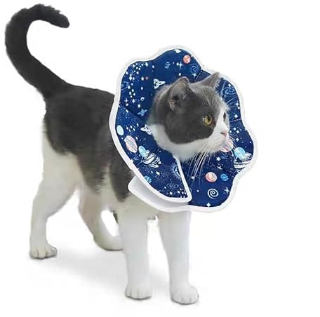 Halskrausen für Katze und Hündchen,Halsband für Haustiere,Schutzhalsband Kegelhalsbänder,Schutzmaßnahmen Schutzkragen Hund,Einstellbar Hundekragen,Hunde Halskrause Leckschutz für Hunde