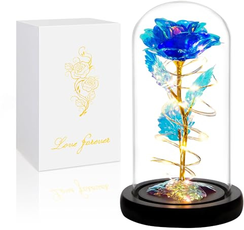 Childom Birthday Gifts for Women Her Mum,Light Up Rose Flower in Glass Dome | Birthday Gifts for Women,Flowers Delivery Prime,Christmas Women Gifts for Mum Her,Glass Rose in a Glass Dome