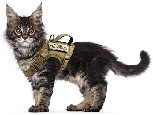 Taktisches Katzengeschirr für Spaziergänge, ausbruchsicher, weiches Netzgewebe, verstellbar, Haustierweste, Geschirr für große Katzen und kleine Hunde (M, Khaki)
