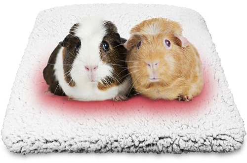 Mygeromon Meerschweinchen Unterlage für Käfig Decke Kaninchen Pads | Guinea Pig Cage Liner Fleece, Waschbar, Wiederverwendbar, 50 x 40cm, Kleintier Zubehoer