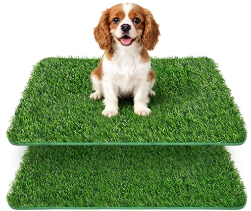 YICH Lettiera per cani per la casa, 2 pezzi, 58,5 x 46 cm, in erba artificiale, per la casa, per il balcone, la toilette per cani, la toilette per il cucciolo di cane, per l'allenamento