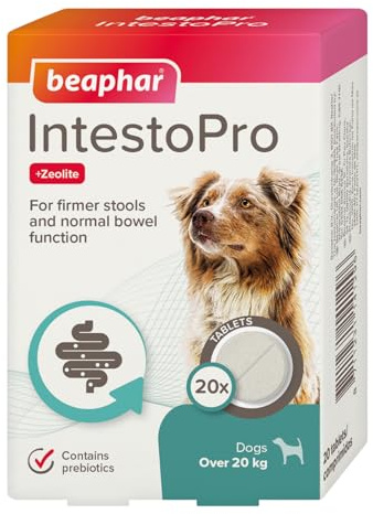 Beaphar IntestoPro Darm-Regulator Große Hunde – 20 Tabletten