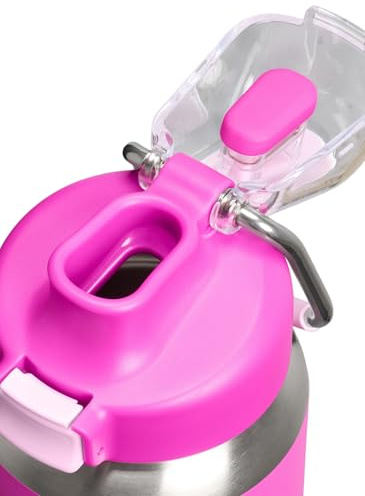 STANLEY Classic Wellspring Bottle 0.71L (Violet Blossom)