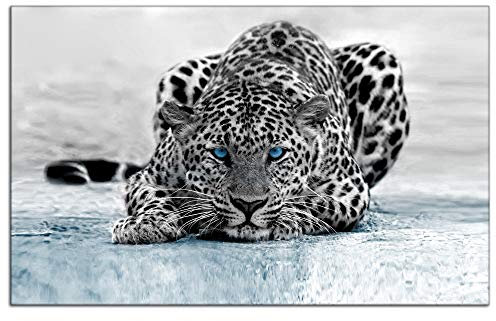 DECLINA, Modernes Dibond Wandbild Druck auf Aluminium, Alurahmen, Alubild, Wanddeko, Leopard, 50 x 30 cm
