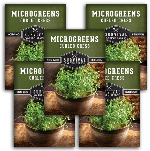 Fast Sprouting Curled Cress Microgreens Seeds for Planting - Sprout & Grow Fresh Indoor Greens for Quick Harvest - 4300+ in Each 10g Pack - Survival Garden Seeds (5 Packs)