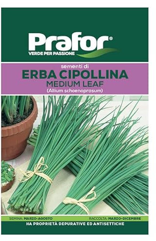 Hortus Semi prafor Erba cipollina BTS