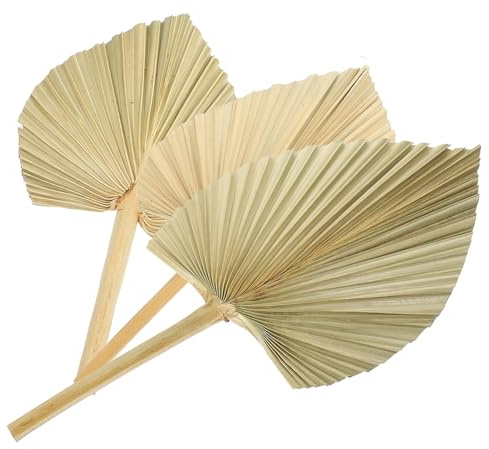 DECORNIJIA Adorno De Hojas De Palma Secas Naturales 3 Piezas, Decoración Hojas Secas, Material Artesanal De Palma, Accesorio para Bodas y Decoración De Pared Artística