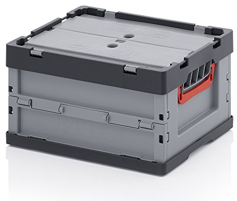 Auer Packaging 2x Profi Faltbox 40 x 30 x 22 mit Deckel | Camping-Box Transport Plastikbox für Wohnwagen Aufbewahrungskiste, 21L