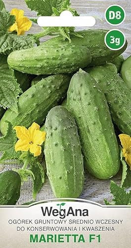 WegAna Graines de concombre Marietta F1 3g (Environ 130 graines), Graines de légumes robustes, Graines de légumes, Culture de graines, Graines pour la serre