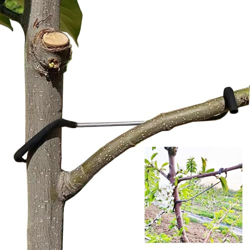 LEILINLIFE Lot de 20 épandeurs de branches d'arbres fruitiers pour arbres fruitiers - Solution durable pour support d'arbre - Extension de branches (17,8 cm)