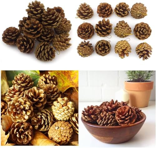 12 Zapfen Naturzapfen Tannenzapfen mit Band (Zapfen-12x-nature)