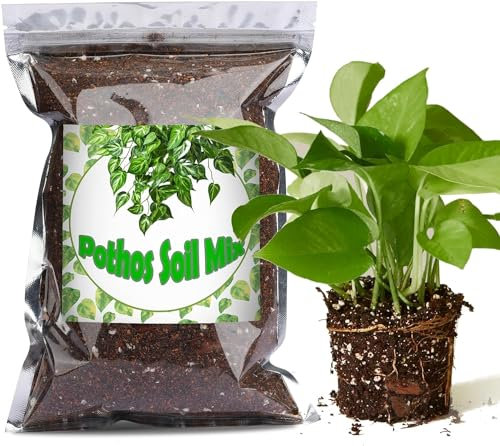 Organic Pothos Soil Mix 2L, Indoor Plants Potting Mix for All Potted Pothos, Grow Healthy houseplants Indoors