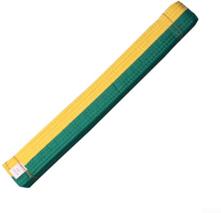 NEIQIUWING Judo bälte 280 cm x 4 cm slitstarkt foder – Taekwondo Karate kampsportbälte för gradering och träning