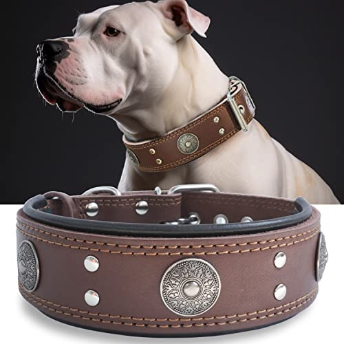 Leather Dog Collar, 2 inches Wide Heavy Duty Genuine Leather Collars, Handmade, Soft, and Luxury, Eye-catching Best Choice for Large and Medium Breed Dogs 18.5-22.5 in
