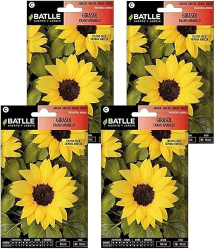 Pack 4 Semillas de girasol enano amarillo Semillas Batlle