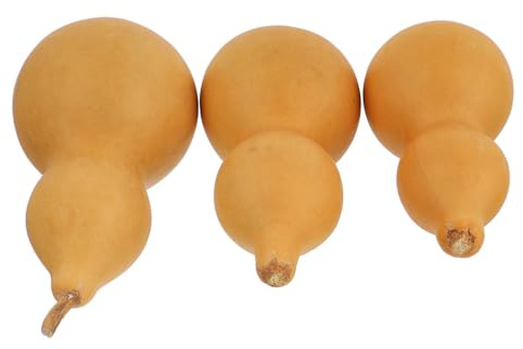 GRADENEVE Set di 3 Gourd Naturali Decorazioni Natalizie Naturali a Forma di Gourd per Oggetti Decorativi Casa e Decorazioni per Albero in Stile Artigianale
