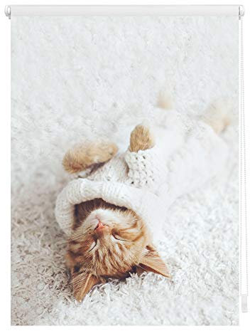 Lichtblick Klemmfix Verdunklungs-Rollo mit Motiv, ohne Bohren, Blickdicht, Seitenzugrollo, Made in Germany, Sleepy Cat - Weiß 45 x 150 cm (B x L)