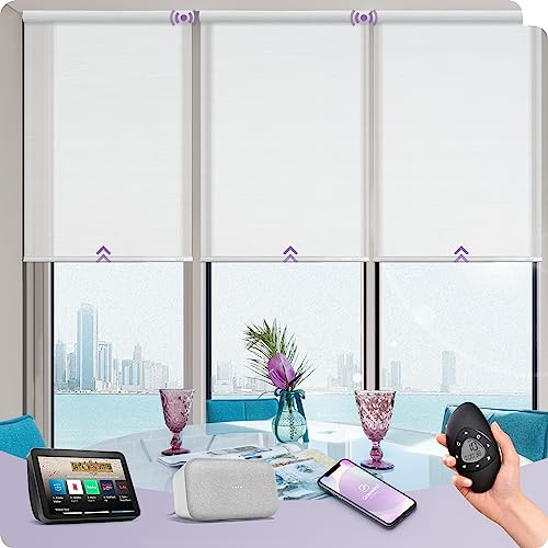 Graywind Smart Daylight Roller Blinds, 20% Light Filtering, Non-Blackout Sheer Fabric, Motorised Electric Window Blinds Work with Alexa Google, Rechargeable & Customised, Remote Control, White